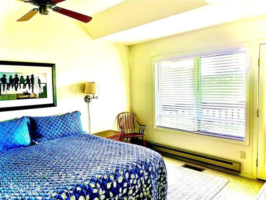 Talisman Amazing Views Walk To Uptown Sleeps 4 Villa Pagosa Springs Buitenkant foto